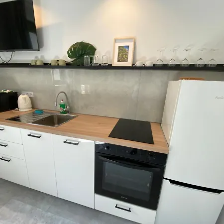 Mlynska 3a Appartement Gliwice