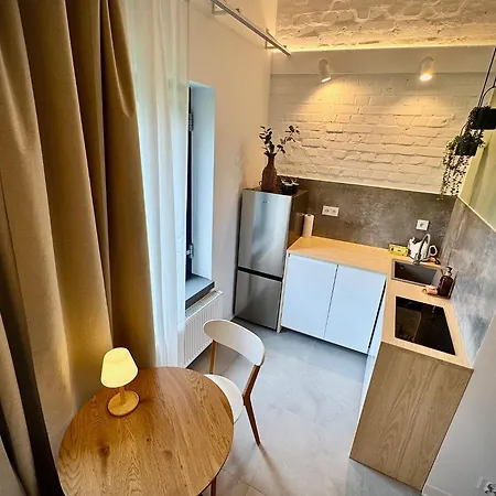 Mlynska 3a Appartement Gliwice