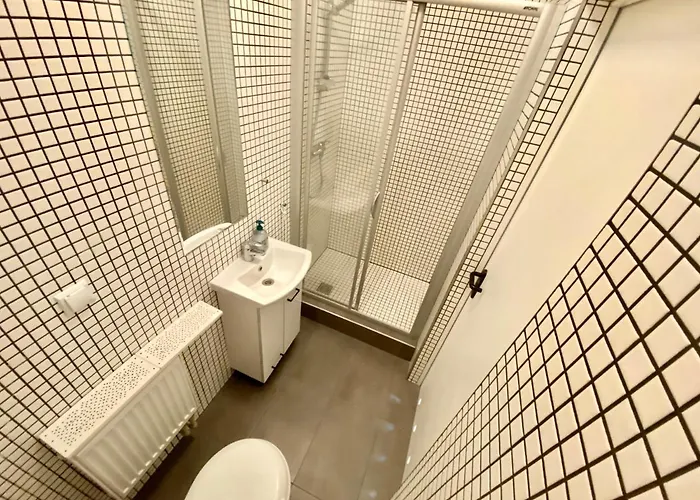 Mlynska 3a Apartment Gliwice