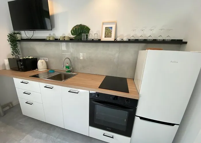 Mlynska 3a Apartment Gliwice