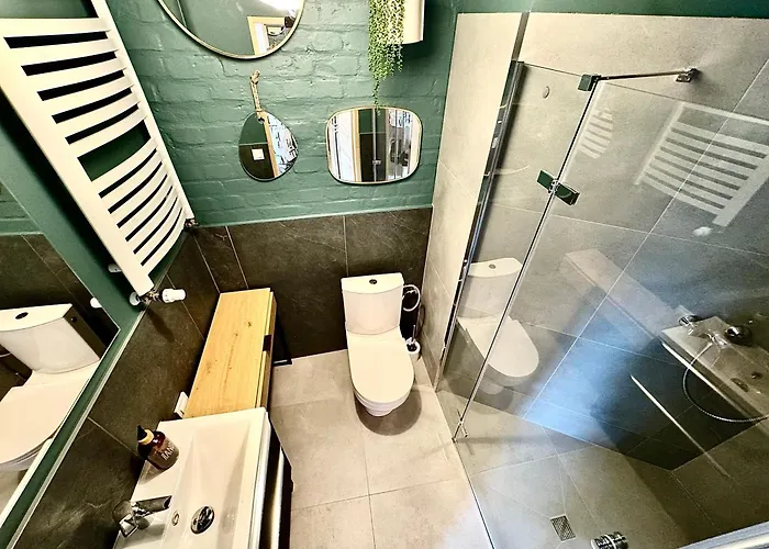 Mlynska 3a Apartment Gliwice