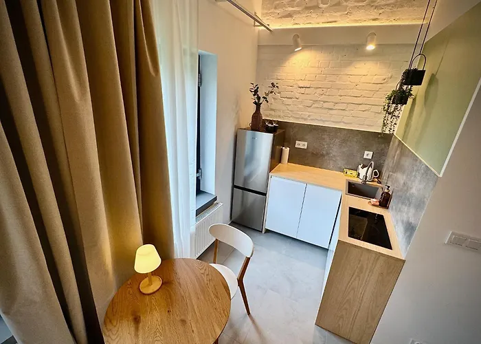 Mlynska 3a Apartment Gliwice